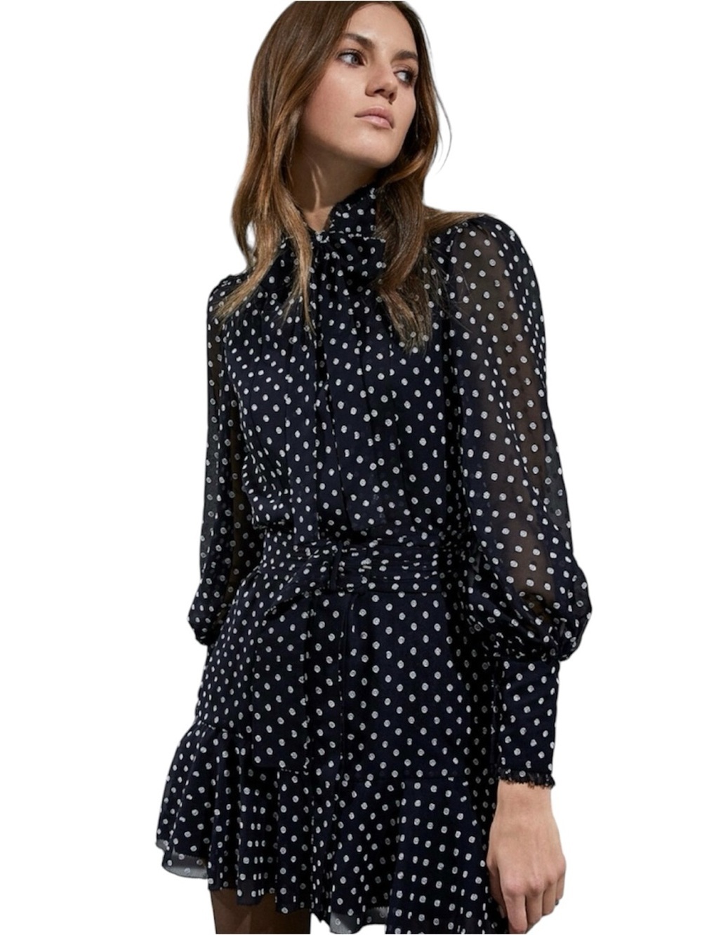 ALEXIS | Ivette Ruffled Hem Tie Neck Embroidered Polka Dot Mini Dress